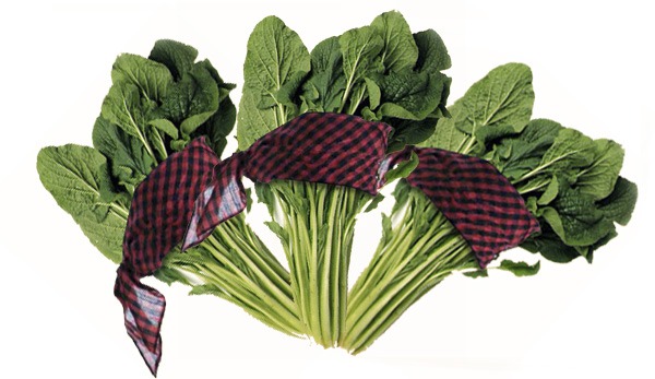 Su Excelencia La Borraja